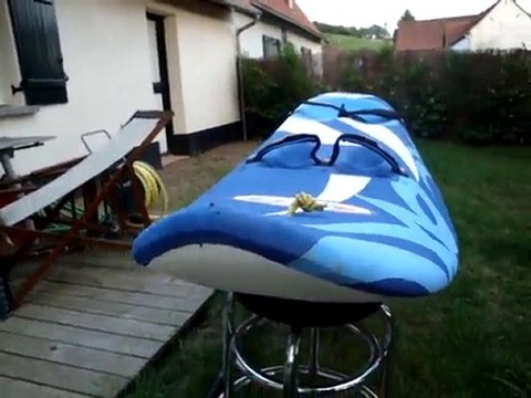 Waveski Jérémy 15 JUIN 2010