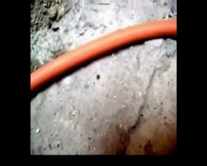 Peleas Hormigas By 7HUND3R