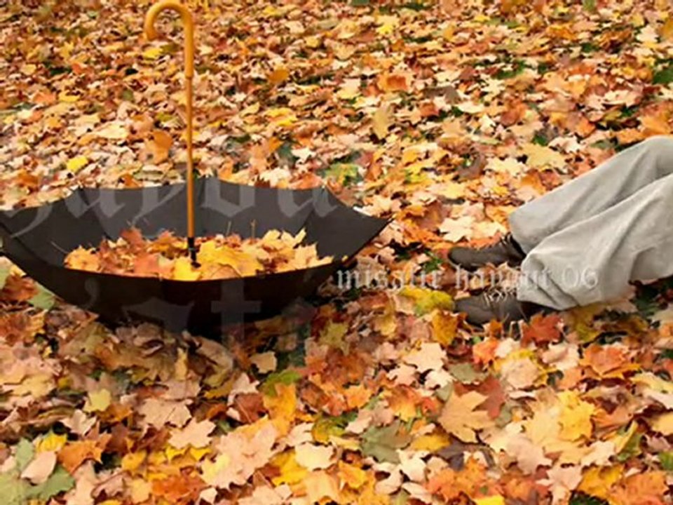 serdar ortaç hayret üzüldünmü