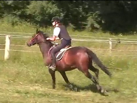 CCE juin 2010 Cross Cécile Quetsch