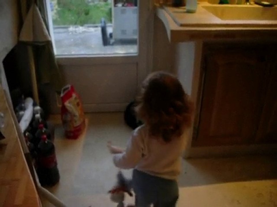 Les croquettes du chat