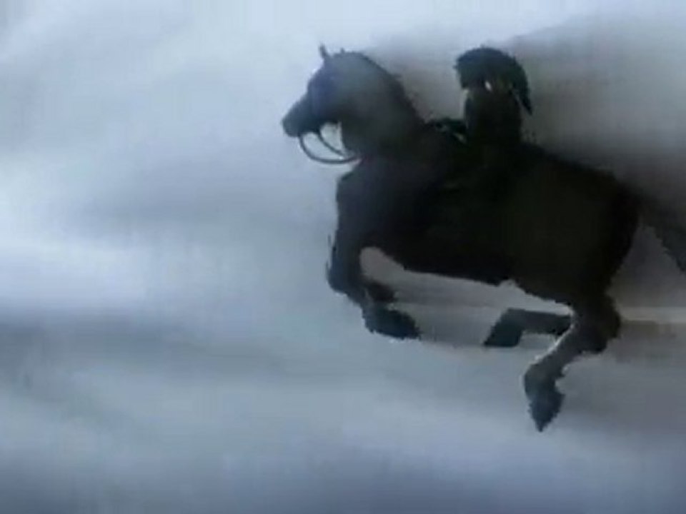 The Legend of Zelda Skyward Sword E3 2010 Trailer  - Wii