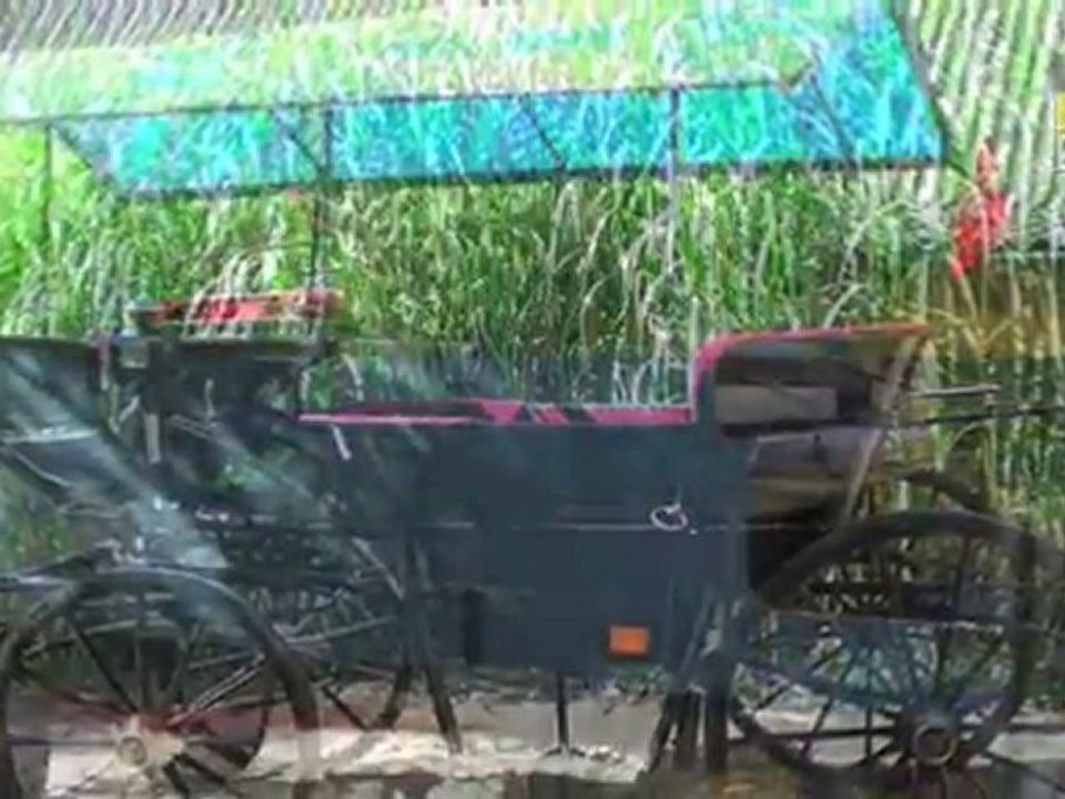 Hestevogne Sjælland Næstved Flemming Møller