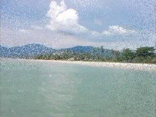 Alex Audrey - Thailande : On a nagé avec les Dauphins !!!