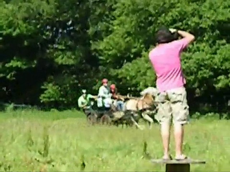 Kenzo magic nino vent d'ouest