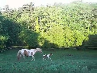 Petite A... 1ers jours