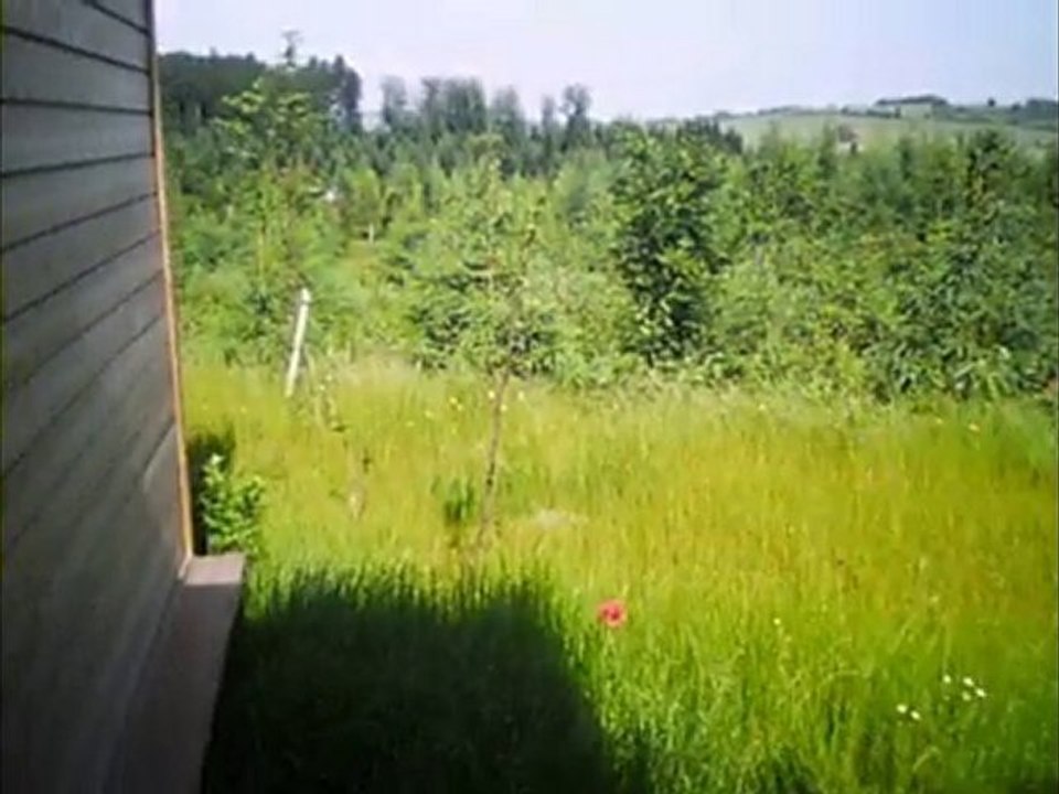 Center Parcs - Centerparcs - Trois forêts - Moselle Lorraine