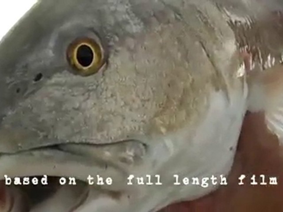 Nervous Water Trailer