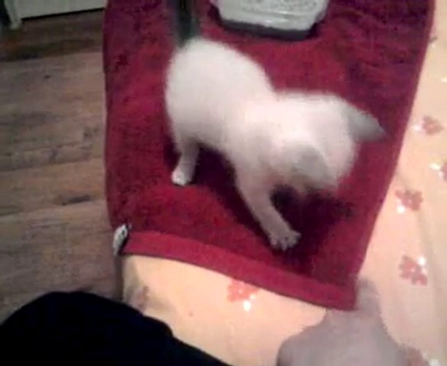 video-2010-06-15-22-17-59