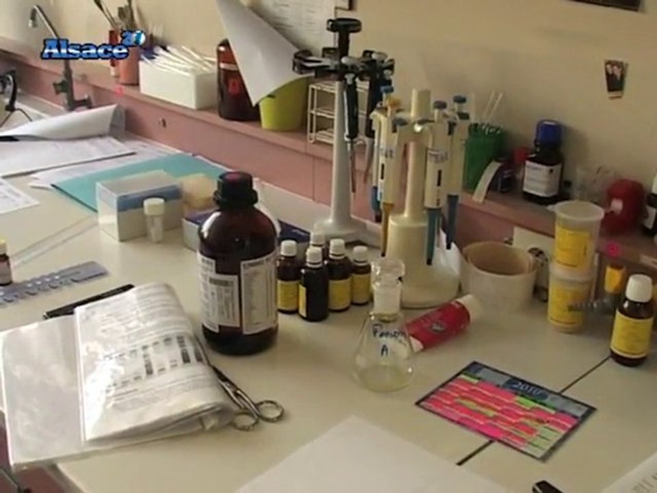 L'Eco sur 20 : Laboratoires Weleda, les soins au naturel !