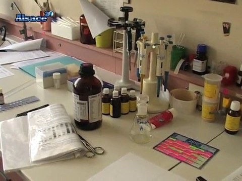 L'Eco sur 20 : Laboratoires Weleda, les soins au naturel !