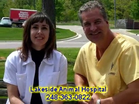 Commerce MI Pet Health, Pet Health Commerce MI 248-363-0822