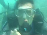 Plongée sous marine en Guadeloupe