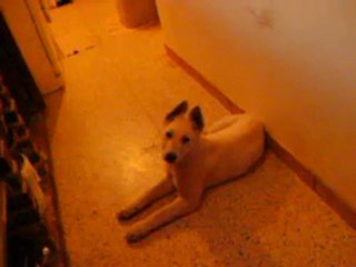 video de jarny et jackson 013