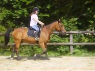 AmelieEtPerlani trot a droite