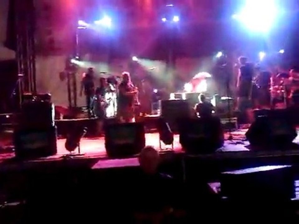 Skabazac 2010 - Ska-P (2)