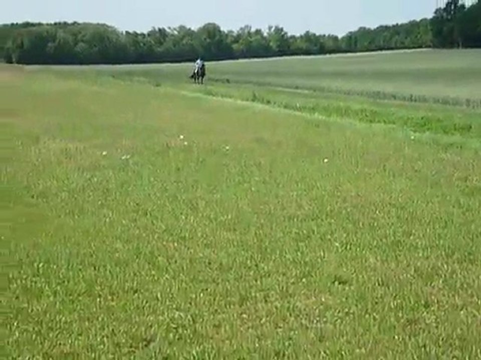 Véro et Stew au trot