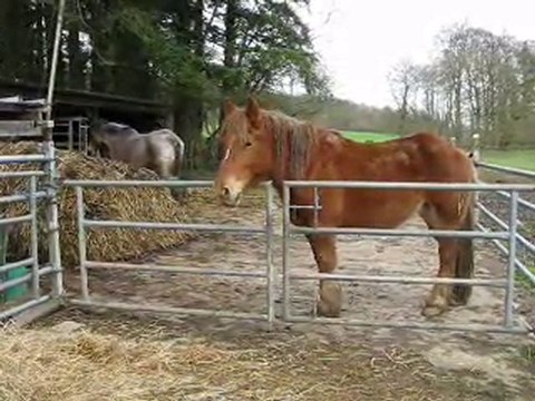 lectomaton : Sébastien parmi les hommes , S.Thibaut IESSID