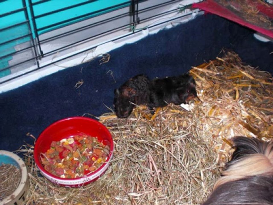 monsieur et madame Truc et leus enfants