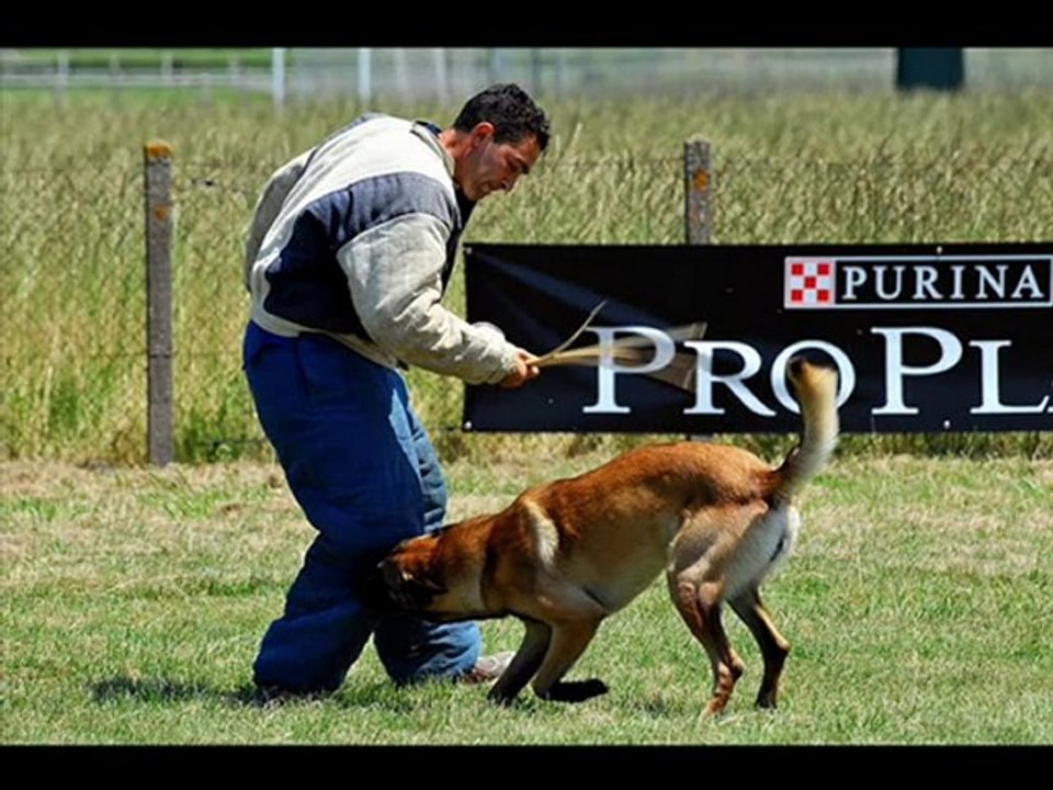 concours échelon 1 : 188.45 pts