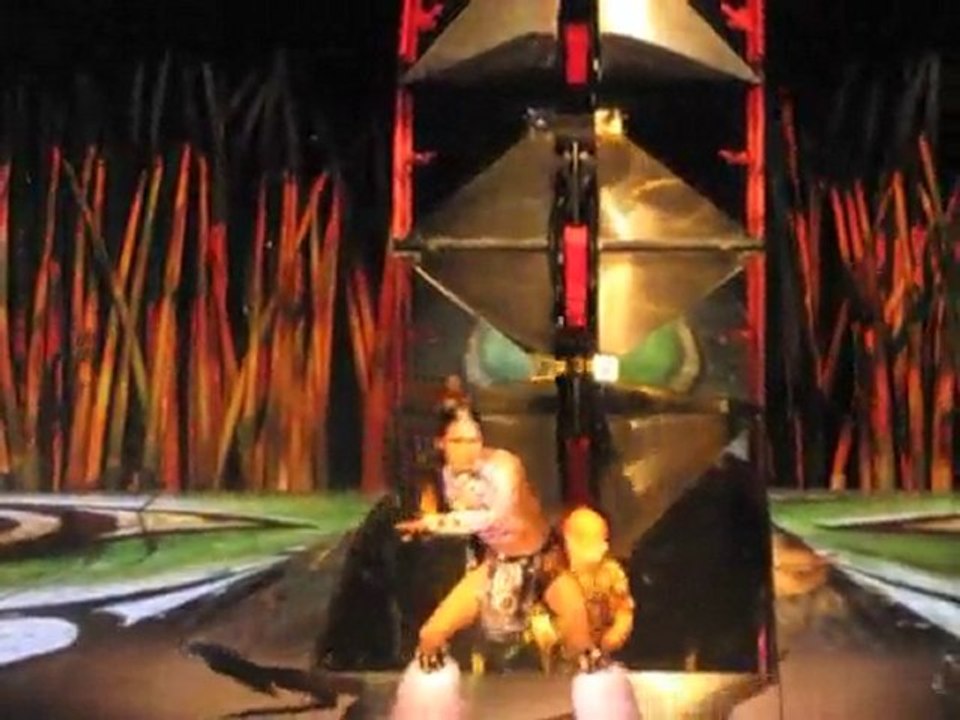 Cirque du soleil spectacle TOTEM de Robert Lepage