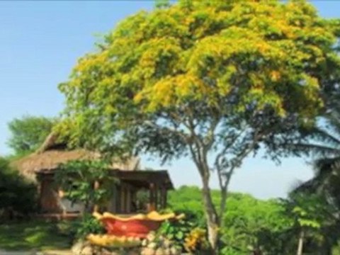 INVERSION FINCA RAIZ CARTAGENA COLOMBIA