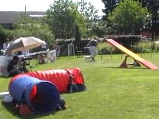 05 06 2010  Feschaux agility 1  - Fiassi