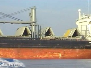 Expedición Mesopotamia #304 - Zona Safari TV