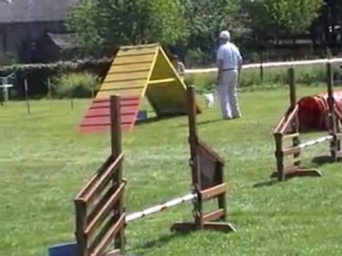 05 06 2010 Feschaux agility 5 - Tatal et Help