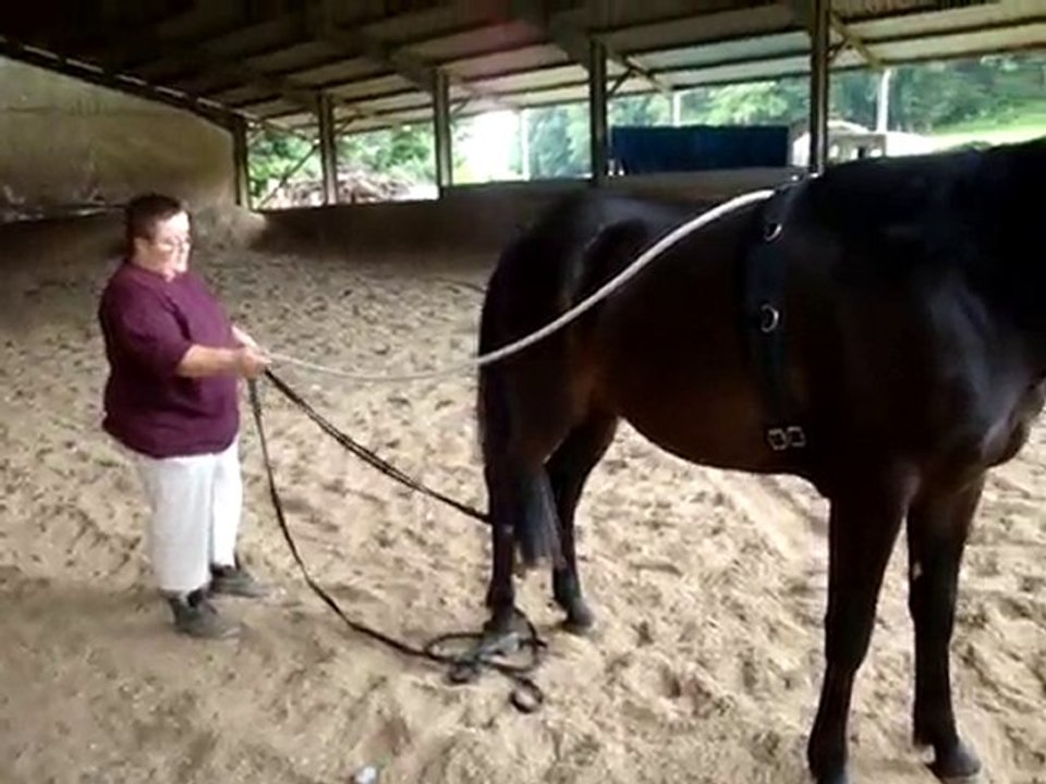 revision 14 juin 2010 027