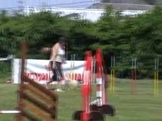 05 06 2010 Feschaux agility 6 - Tatal et Xéna
