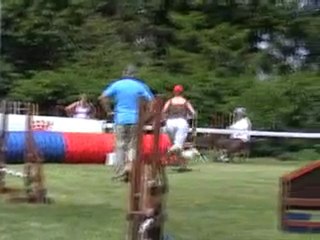 05 06 2010 Feschaux agility 8 - Sabrina et Fiassi