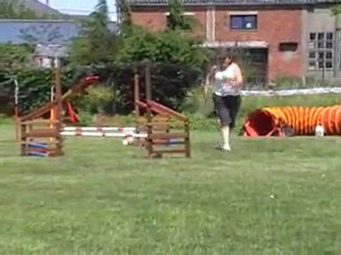 05 06 2010 Feschaux agility 9 - Tatal et Scarlett