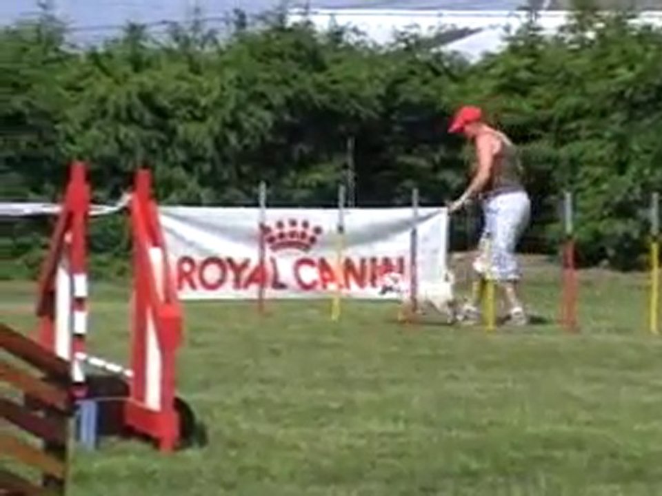 05 06 2010 Feschaux agility 10 - Sabrina et Tschoumi
