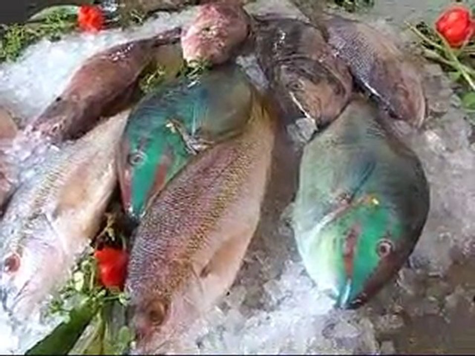 Sainte-Anne en Martinique