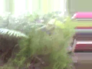 le trail des lavoirs 2010 (poursuite)