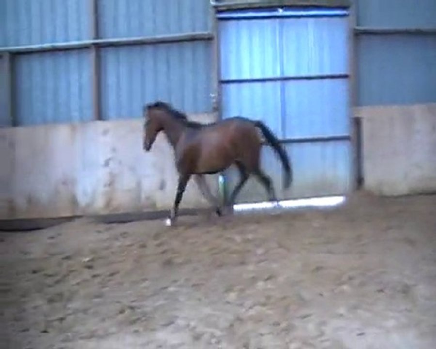 Semide Juin 2010