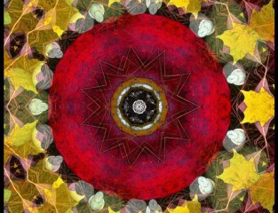 Délires de papier - Elisabet Just et  Luciane Lopes