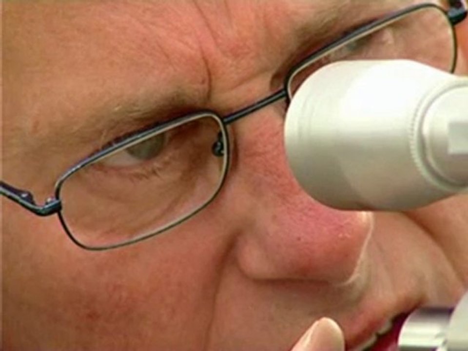 Bench Rest Rifle Shooting. Precision rifle competition