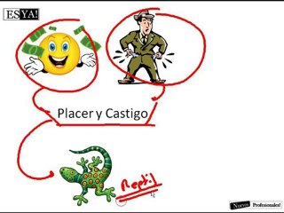 Psicologia del comportamiento - Pávlov