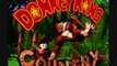 Donkey Kong Country Music - Main Theme