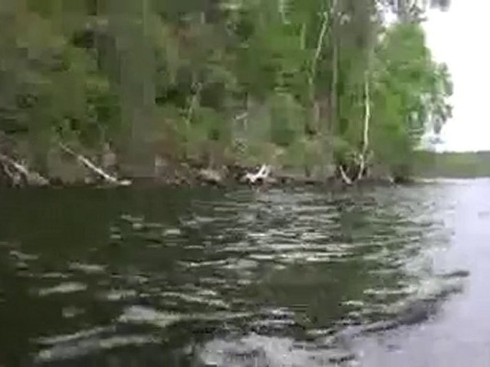 Boat Trolling Past Rocky Forest Shore