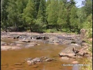 GOOSEBERRY FALLS, MN