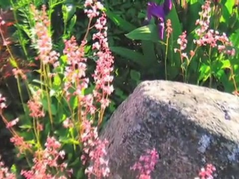 Bioresonans Värmlands Län Torsby Bada Hälsocenter