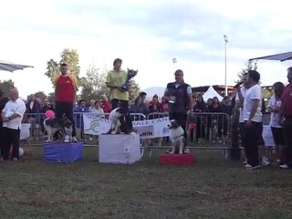 remise 3é degré Cde F 2010