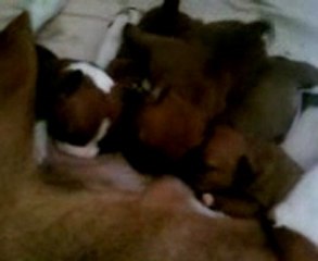 4ème portée Attention, ce n'est qu'un essai