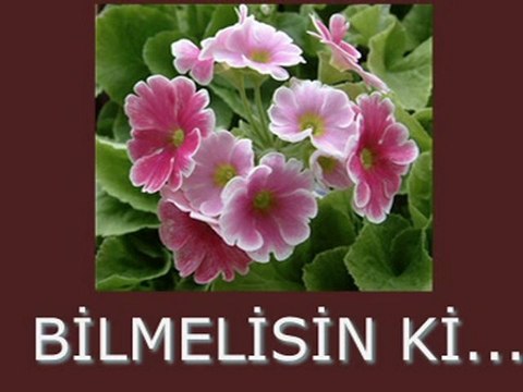 Bilmelisin ki...Can YÜCEL