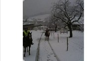 Sortie du 12 décembre 2009