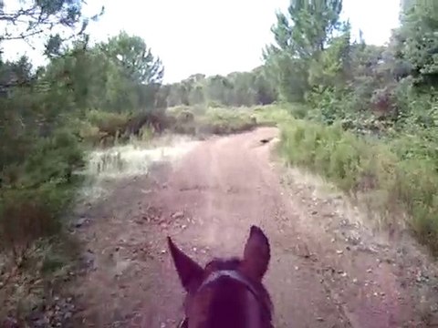 06 Domaine Ste Eulalie Première cigale