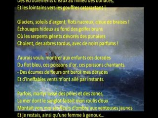 Aquarium-Le bateau ivre  (Claude Lachapelle-Arthur Rimbaud)